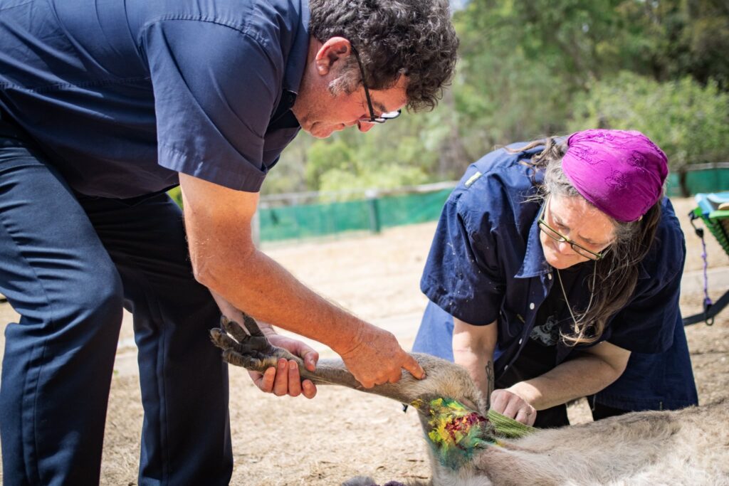 Nikki and Dr Mark Sayer Red Box Wildlife Shelter