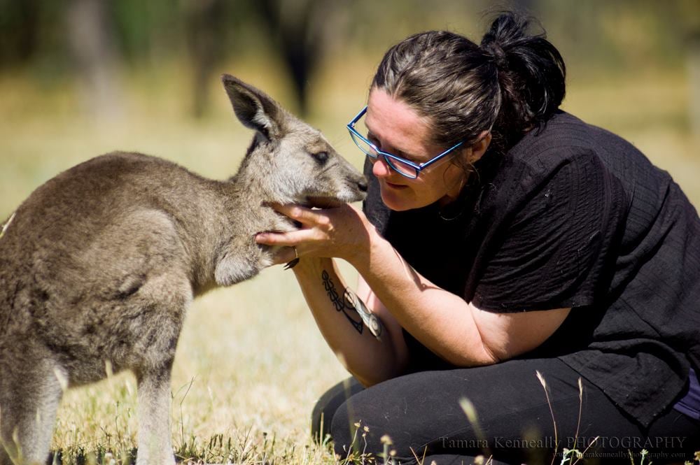 Passion of kangaroo Red box xildlife shelter
